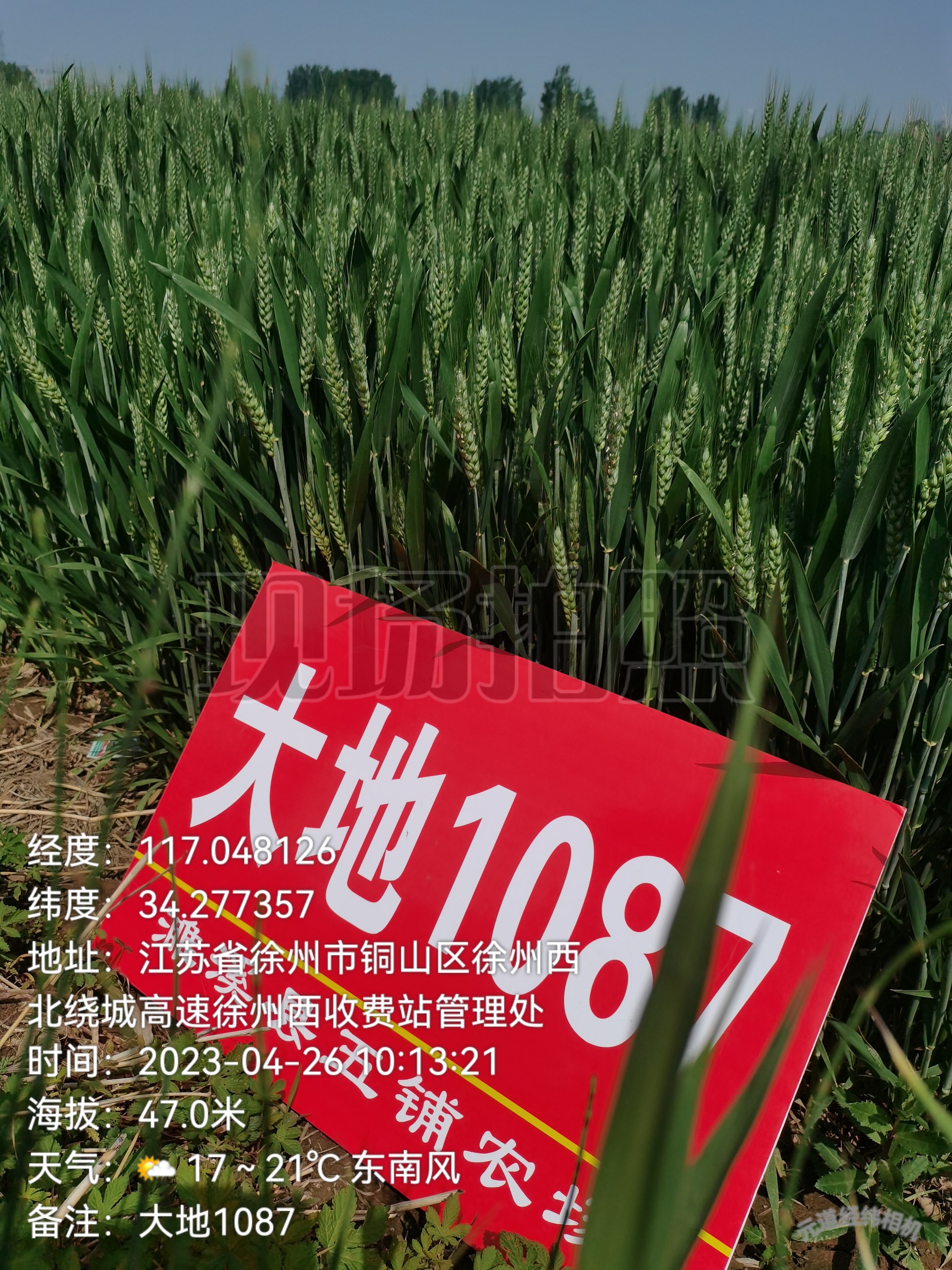 微信图片_20230905091741