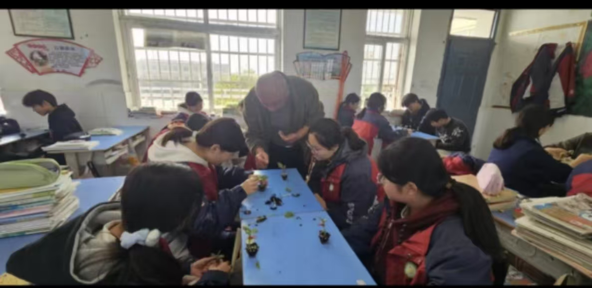 微信图片_20241125154126
